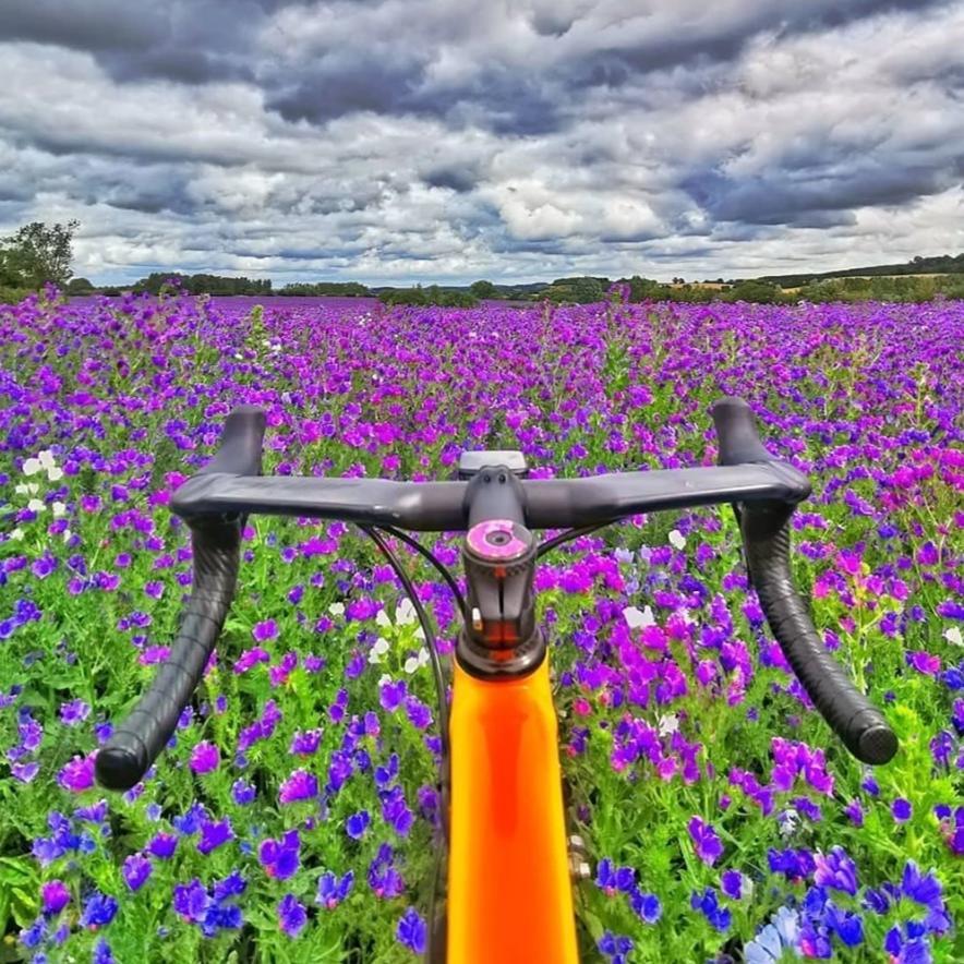 Lightweight, carbon fibre Ahead stem top cap with pink doughnut design, fitted to bicycle in field of flowers